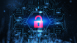 7 Essential Rules for Cyber Security